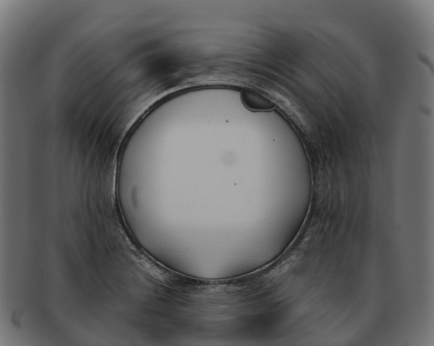 X0000091661228200709131504