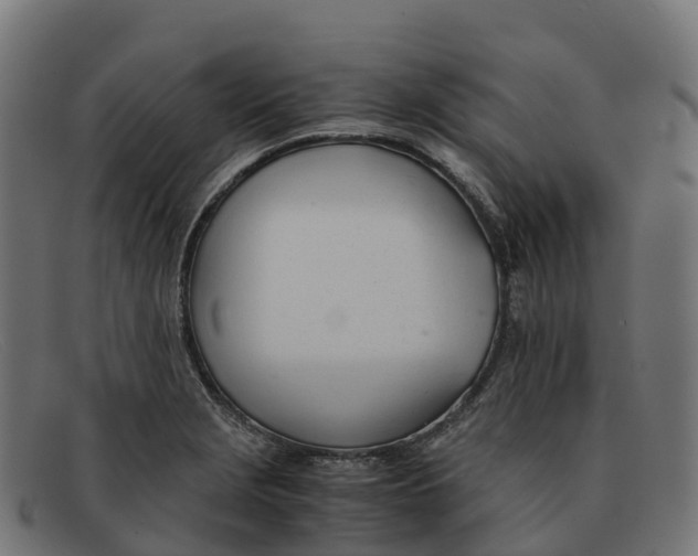 X0000091661229200709131504