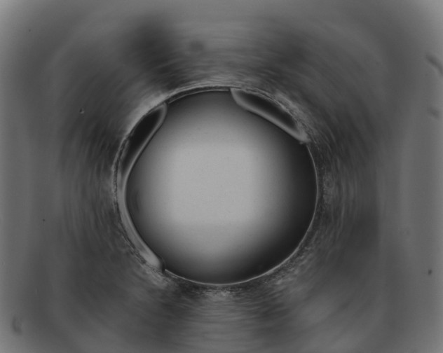 X0000091661230200709131504