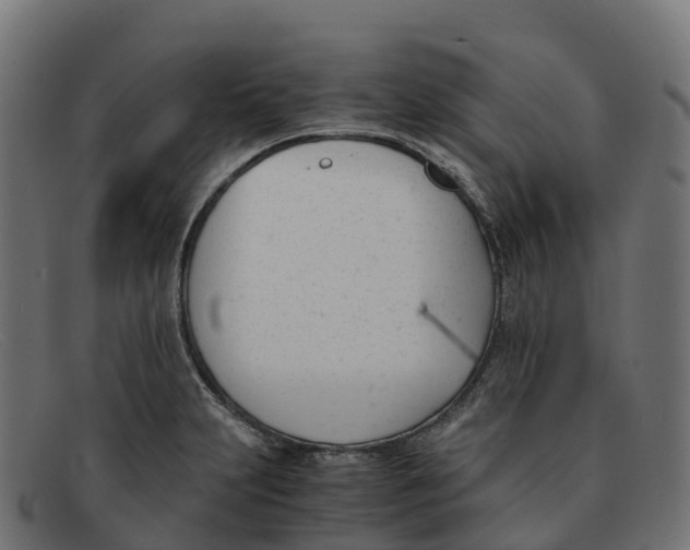 X0000091661231200709131504