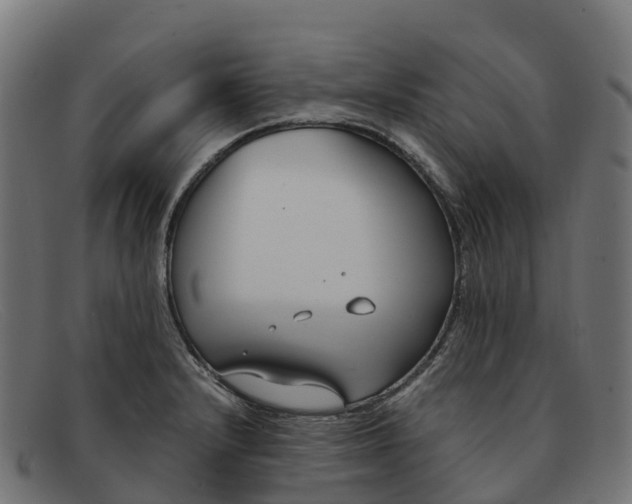 X0000091661232200709131504