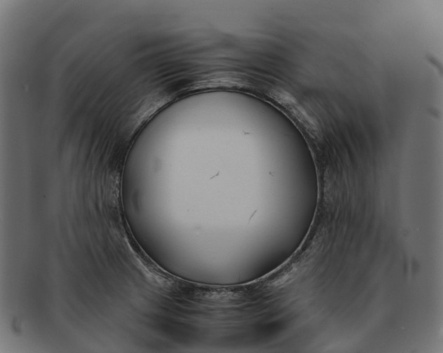 X0000091661233200709131504