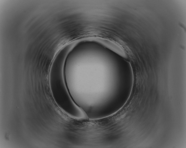 X0000091661234200709131504