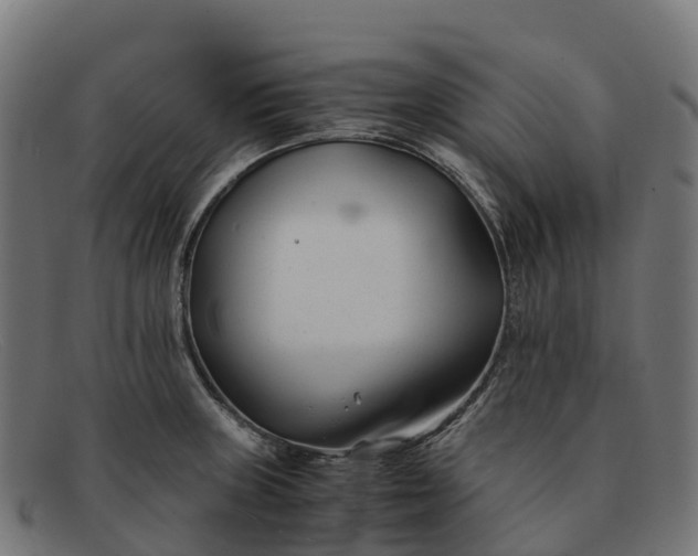 X0000091661235200709131504