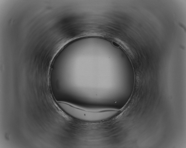 X0000091661236200709131504