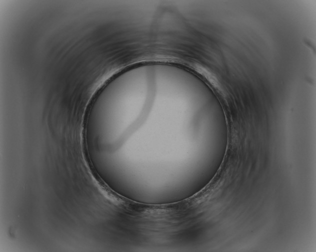 X0000091661237200709131504