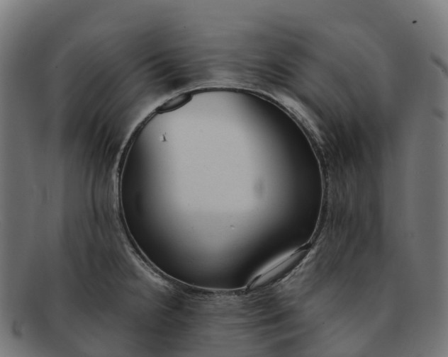 X0000091661238200709131504