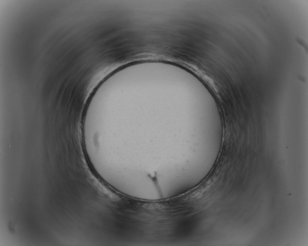 X0000091661239200709131504