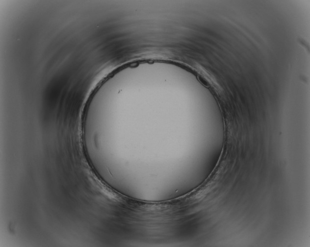 X0000091661240200709131504