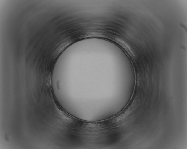 X0000091661241200709131504