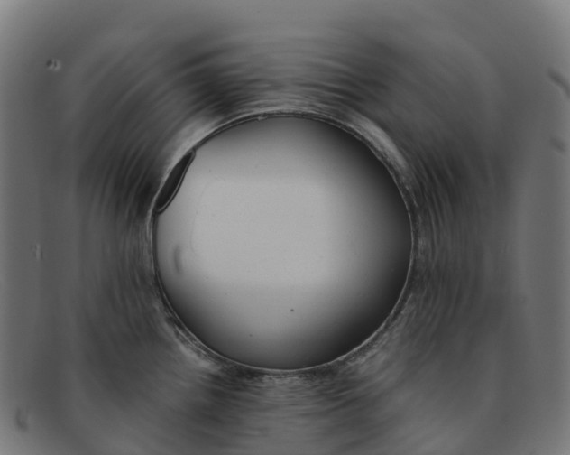 X0000091661242200709131504