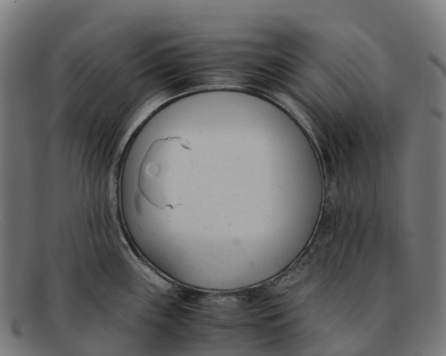 X0000091661243200709131504