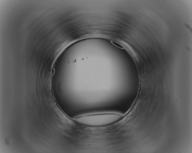 X0000091661244200709131504