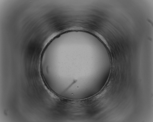 X0000091661245200709131504