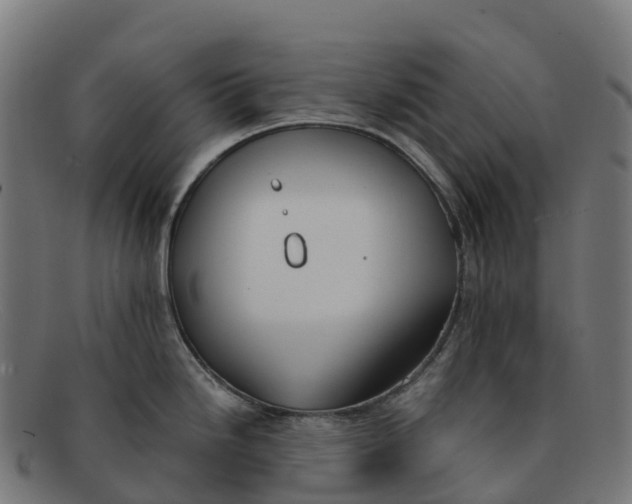 X0000091661246200709131504