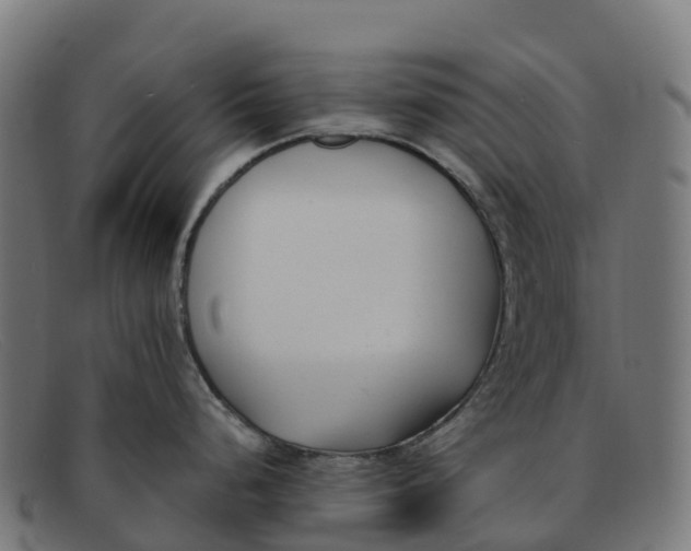 X0000091661248200709131504