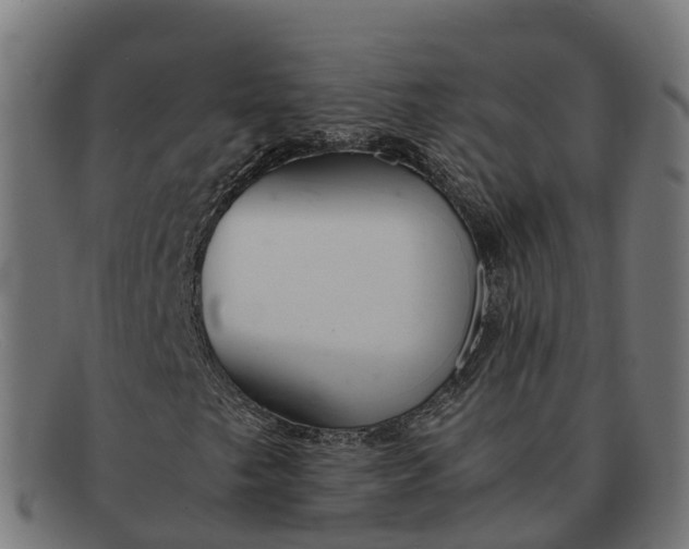 X0000091661249200709131503