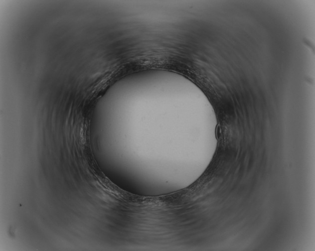 X0000091661250200709131503