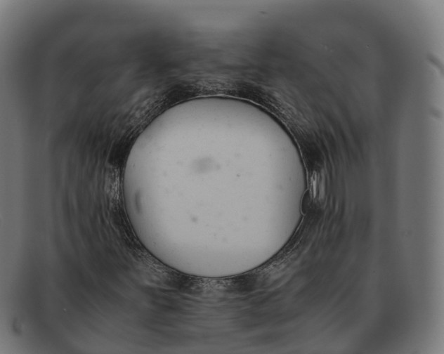 X0000091661251200709131503