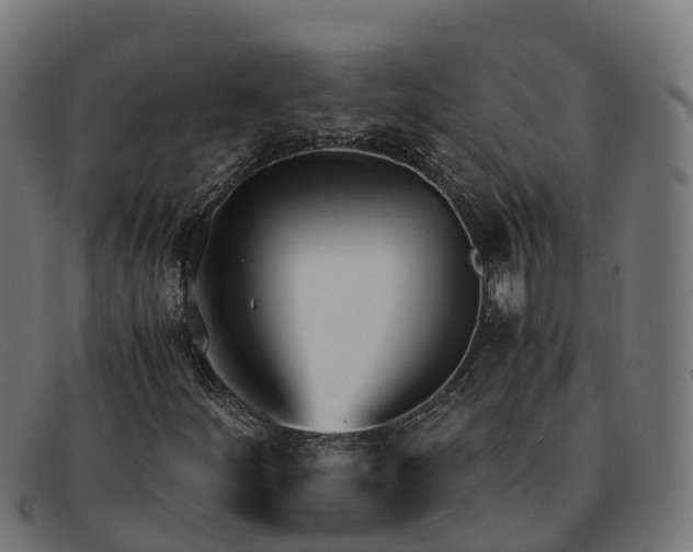 X0000091661252200709131503