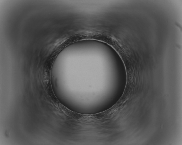 X0000091661253200709131503