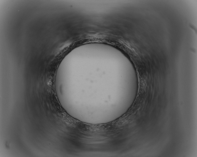 X0000091661254200709131503