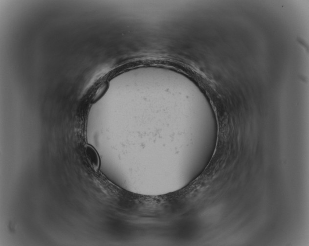 X0000091661255200709131503