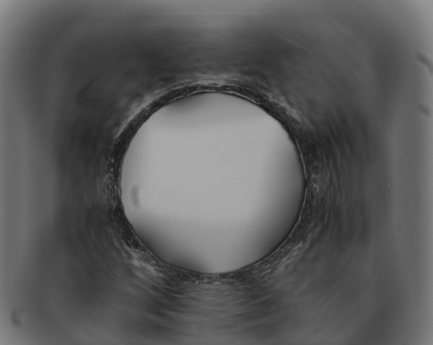 X0000091661256200709131503