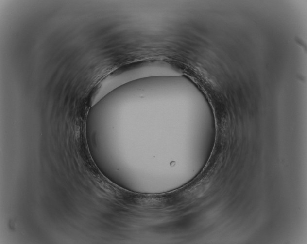 X0000091661257200709131503