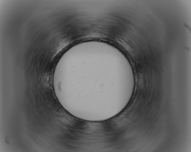 X0000091661258200709131503