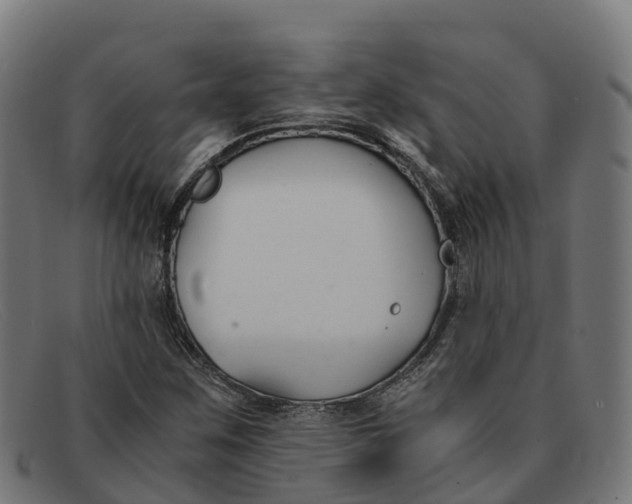 X0000091661259200709131503