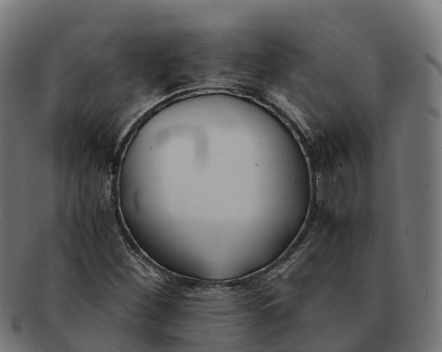 X0000091661260200709131503