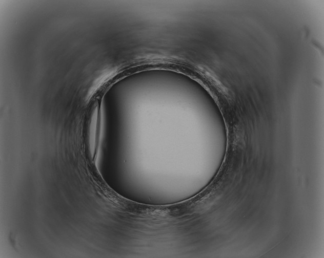 X0000091661261200709131503