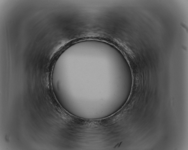 X0000091661262200709131503