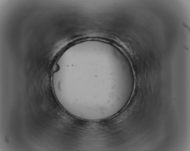 X0000091661263200709131503