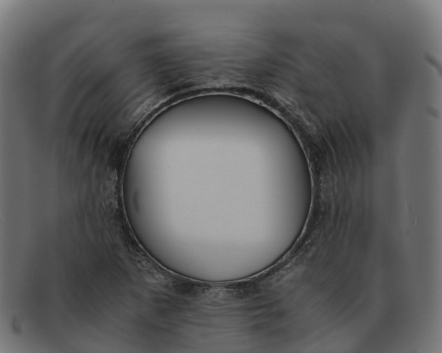 X0000091661265200709131503