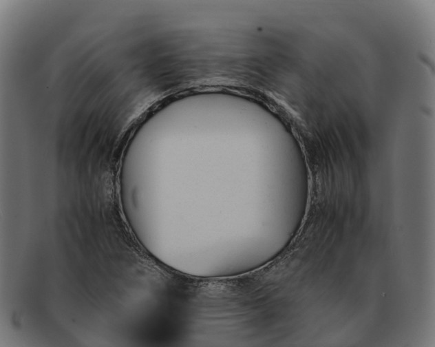 X0000091661266200709131503