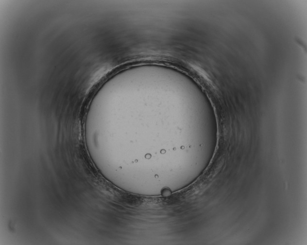 X0000091661267200709131503