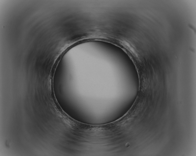 X0000091661268200709131503