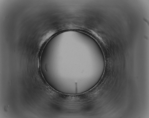 X0000091661269200709131503