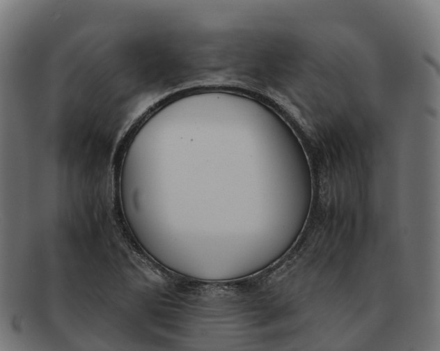 X0000091661270200709131503