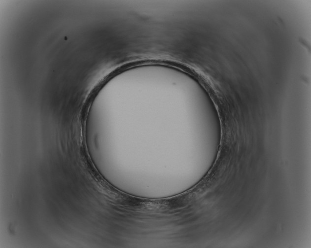 X0000091661271200709131503