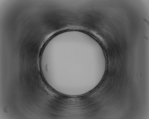 X0000091661272200709131503