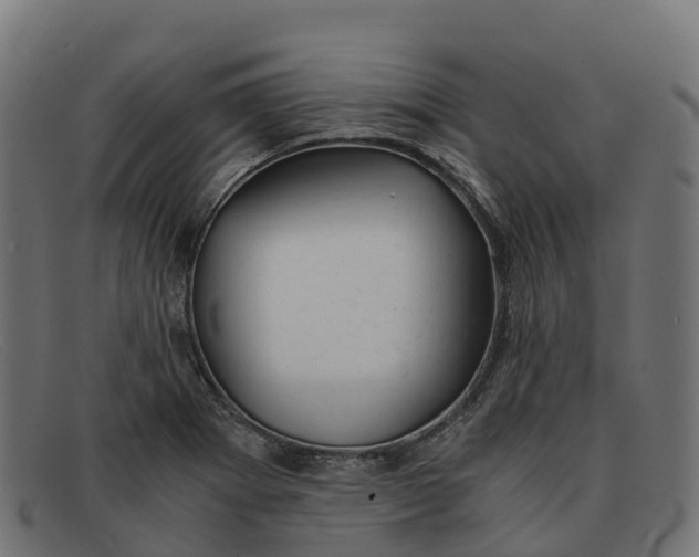 X0000091661273200709131503