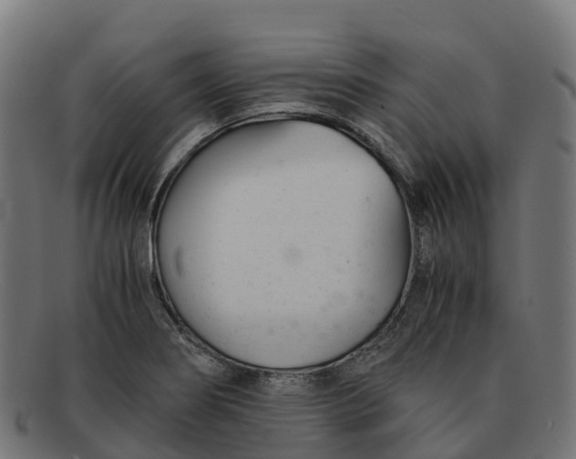 X0000091661274200709131503