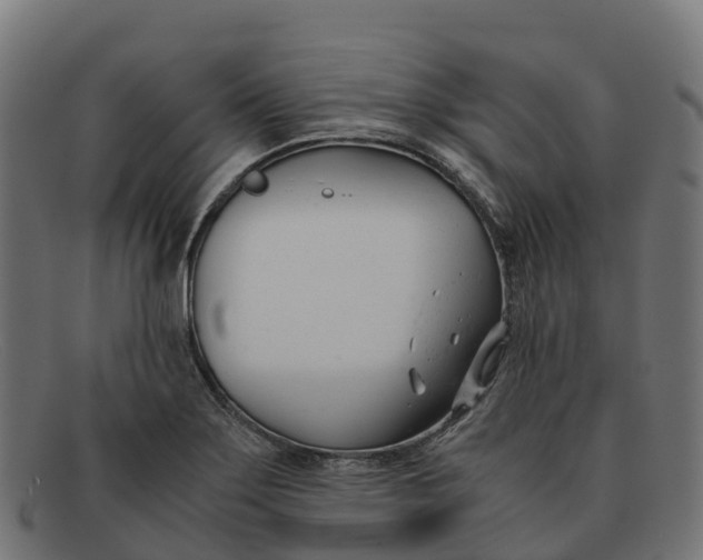 X0000091661275200709131503