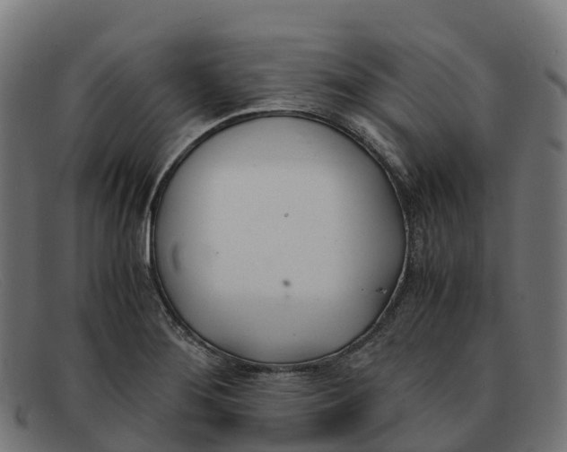 X0000091661276200709131503