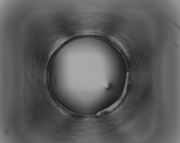 X0000091661277200709131503