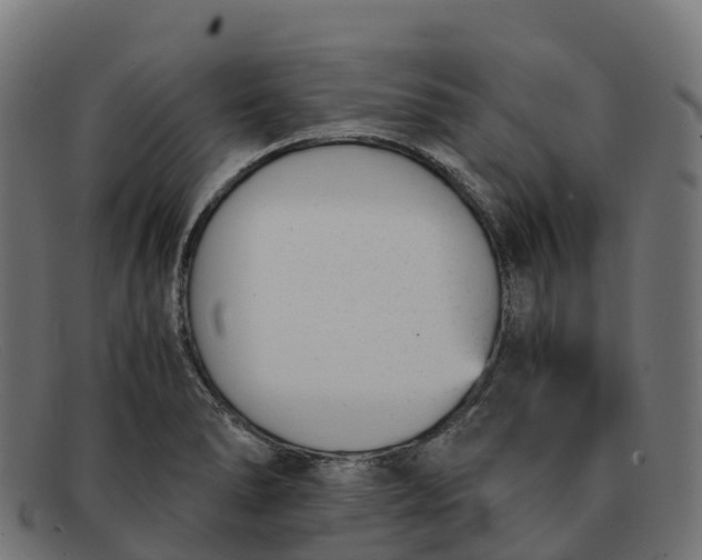 X0000091661278200709131503