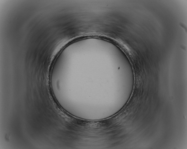 X0000091661279200709131503